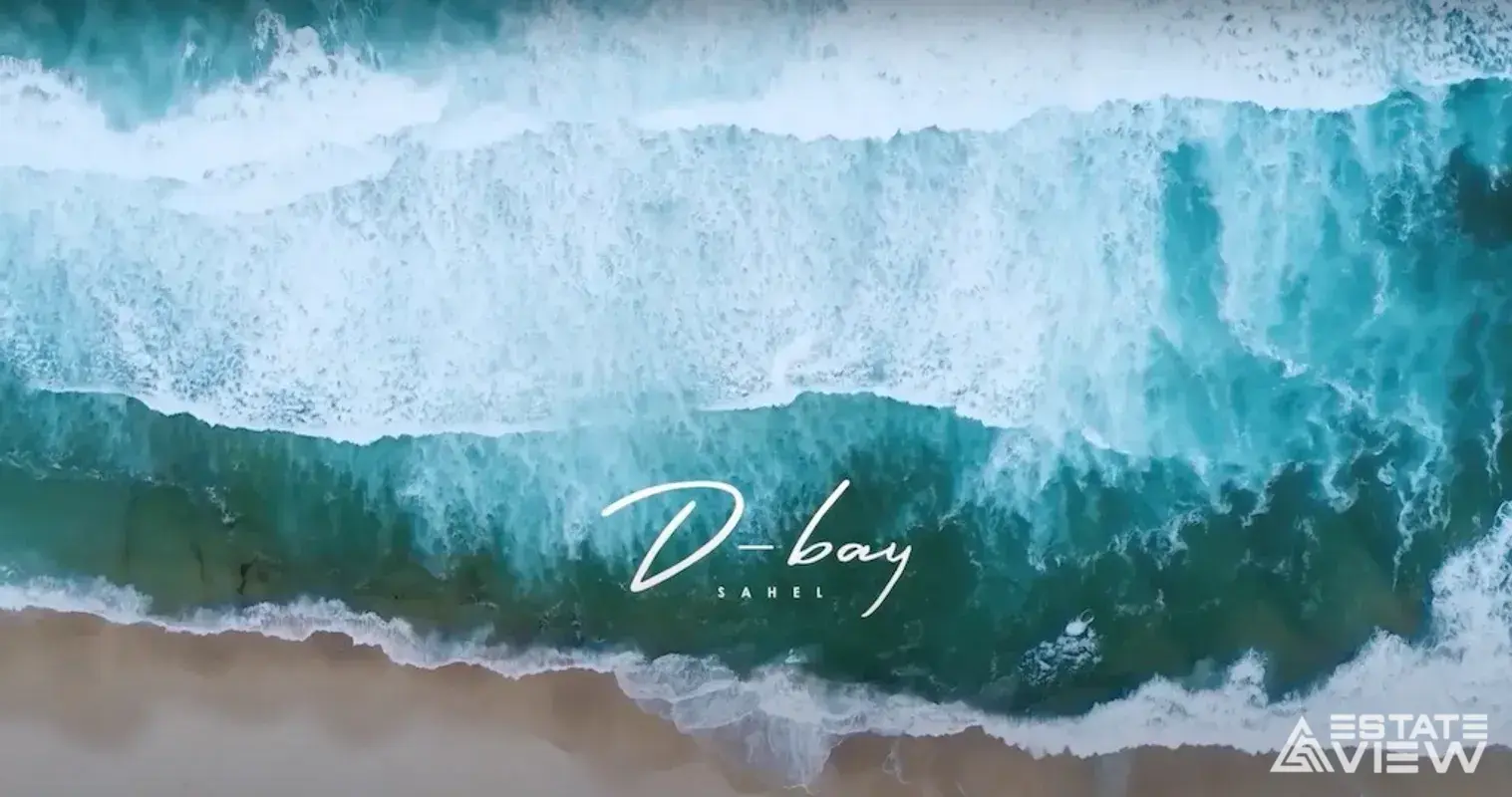 دي باي - صورة 1